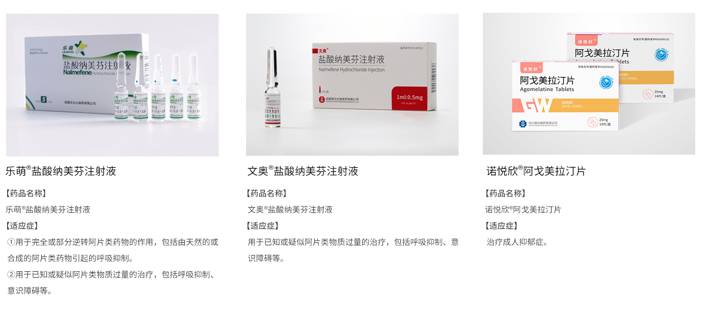 神經(jīng)精神線二 神經(jīng)精神線二